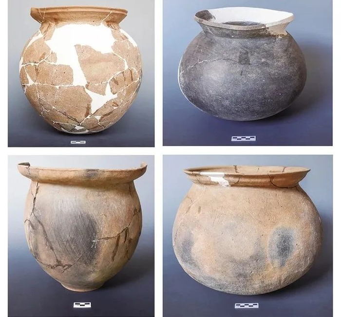 ▲古城村遗址出土的商代瓮棺葬具。