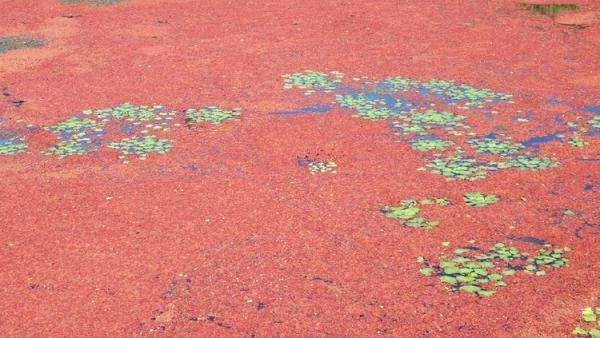 摄影：清居寓人