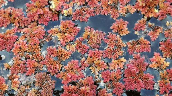 摄影：清居寓人