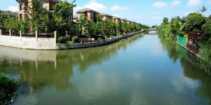 7座主题公园、6个街心花园……这个镇加速实现“推窗见绿、开门见景、一步一景”_手机新浪网