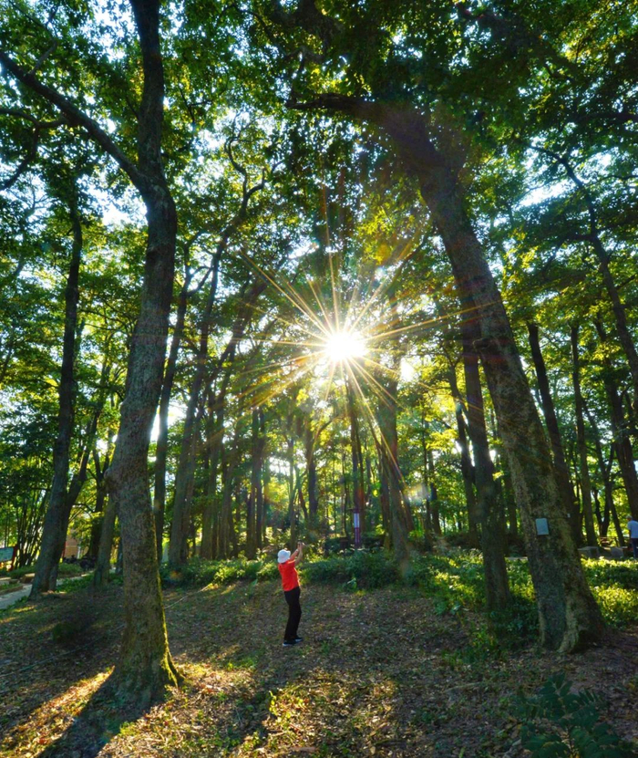 连山壮族瑶族自治县吉田镇，福安古树公园内游客在拍照。清远日报签约摄影师  关朝彬  摄