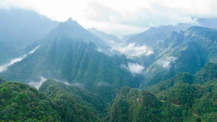 英德石门台国家级自然保护区波罗大峡谷。清远日报签约摄影师 黄锦新 摄