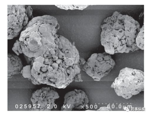 图4. Cognis公司的SLS扫描电镜图