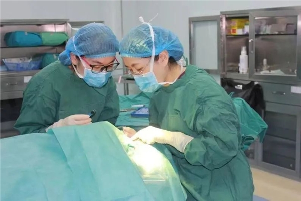 　　图/关虹主任手术中