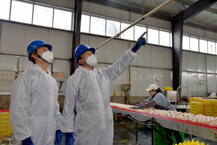 　　香河供电公司员工孙树清、周兴华正在香河县新恒昌养鸡场为客户检查用电设备（王储）