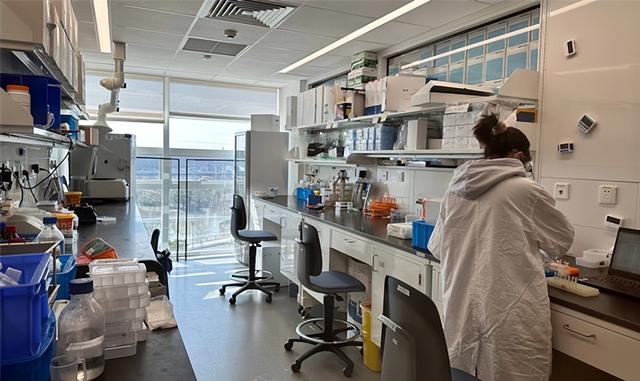 图说：强生JLABS创新中心内的共享实验室。杨洁 摄（下同）