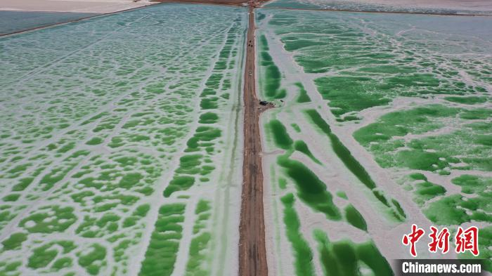 图为海西州境内的翡翠湖。赵凛松摄