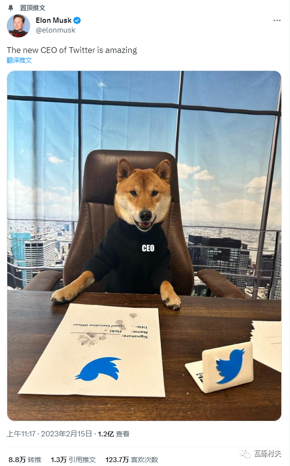 老马发的梗图并置顶的推文，称推特下一任CEO将是Floki，狗子很棒！