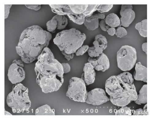 图3. Spectrum公司的SLS扫描电镜图