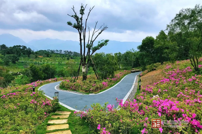 位于三江口片区的清凉山公园。陈建国 摄