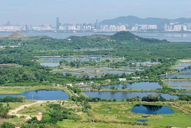 张琳在天水围的一座山上徒步，登顶北望，能看见深圳的天际线。受访者供图