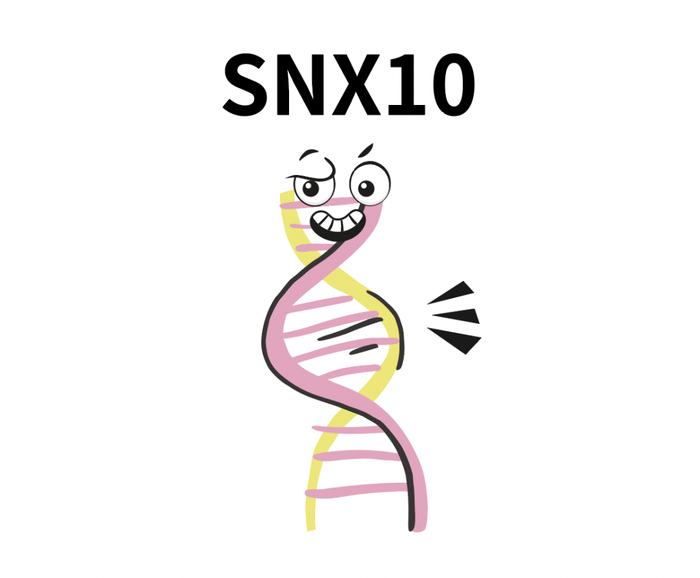 图片来源：自己做的