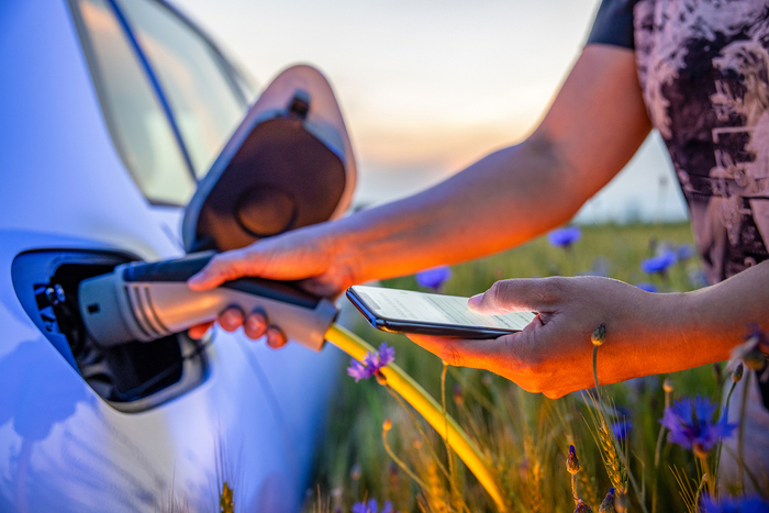 图片来源：视觉中国