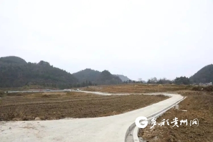 大新村高标准农田上建设好的机耕道