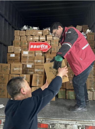 ▲在民勤县，每天都有大量人参果被发往全国各地。小龙|摄