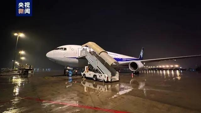 ▲“永明”和他的双胞胎女儿回国了。