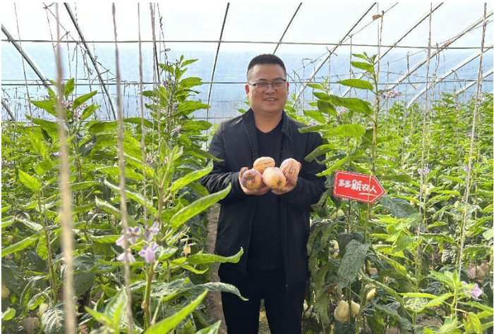▲由于拥有原产地优势，通过产地直发，李龙经营的店铺销售量迅速攀升。 小龙|摄