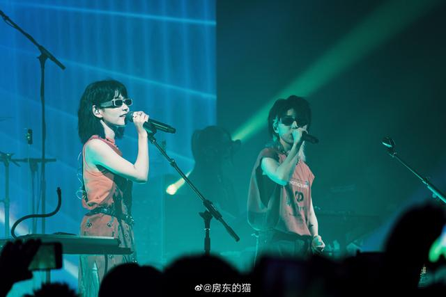 “房东的猫”。  图片来自受访者微博