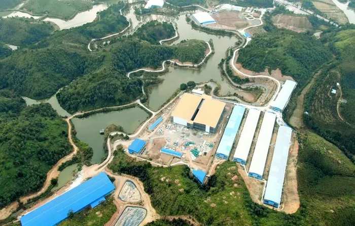 △怀集生猪养殖。图源 怀集发布