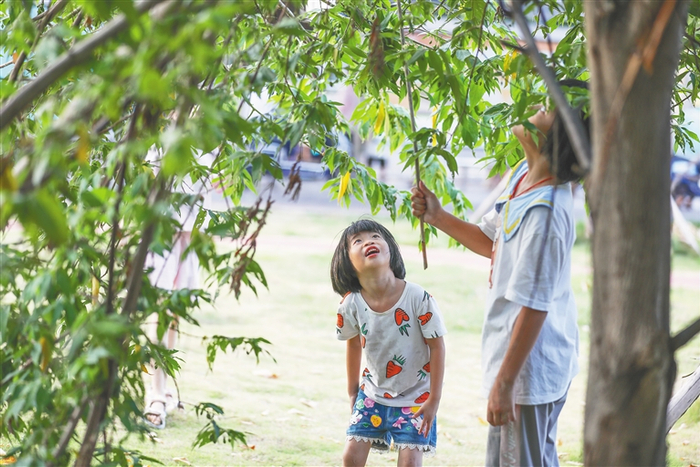 小朋友在海口骑楼老街中山横路街心公园的树下玩耍。海南日报记者 李天平 摄