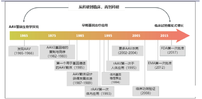 图2：AAV载体的不同发展阶段