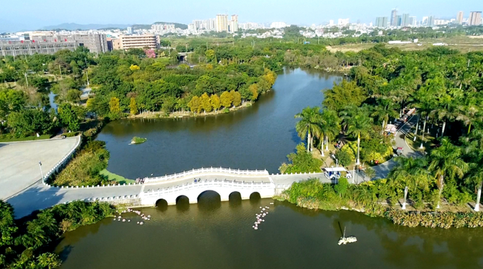 会仙河一角。（资料图）