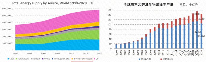数据来源：IEA、wind、全球可再生能源网