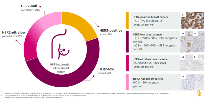 来自：阿斯利康 2022 ASCO 资料