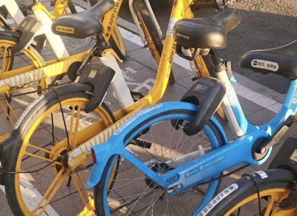 （闫晓寒 摄影）