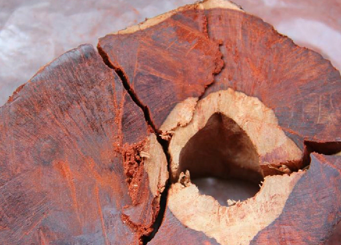 ▲小叶紫檀原木