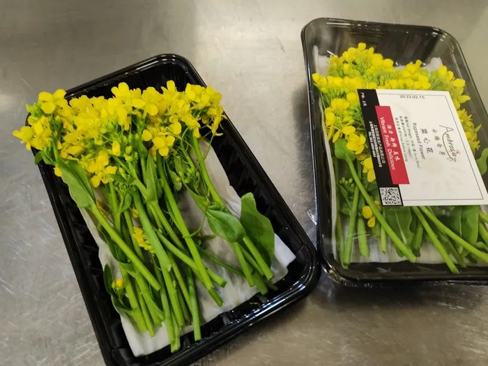 经过密集探店后，杨超有了灵感，决定将油菜花引入今年的春菜