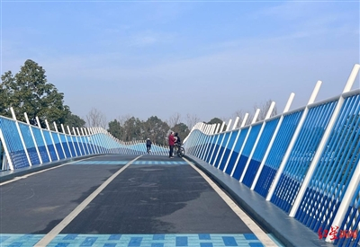 ▲阳光下的绿道