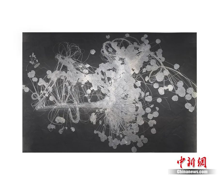 贵州省地质博物馆序厅展出的目前已知自然产出面积最大的海百合化石——关岭创孔海百合化石。受访者供图