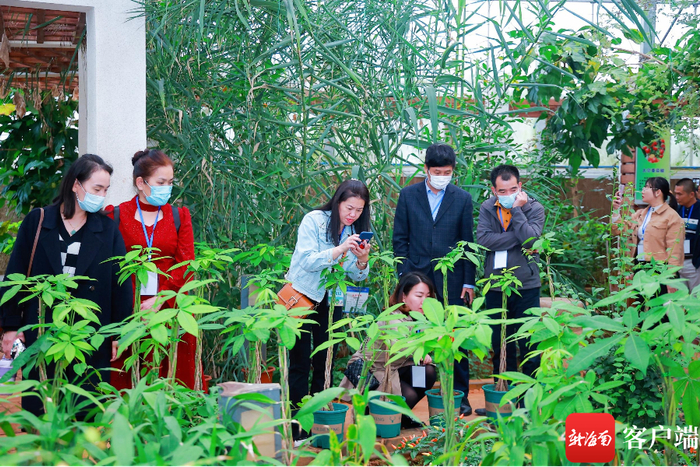 　　与会嘉宾参观海南航天育种中心。主办方供图