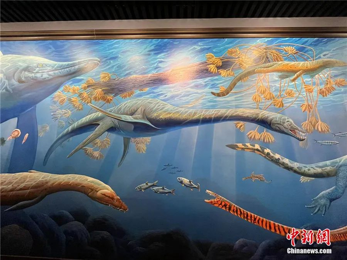 贵州省地质博物馆展示海百合曾经生活环境的画作。受访者供图