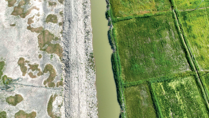 吉林省白城市镇赉县的稻田（右）与盐碱滩涂（2022年7月12日摄） 潘晟昱摄 / 本刊