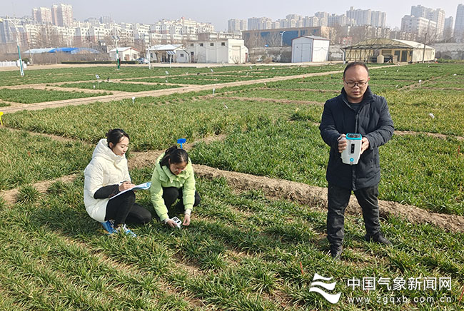 胡程达（右一）和同事在开展农业气象观测。