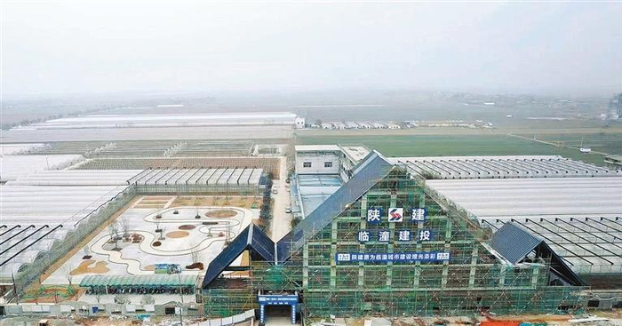 番茄种业智慧谷产业园项目施工现场