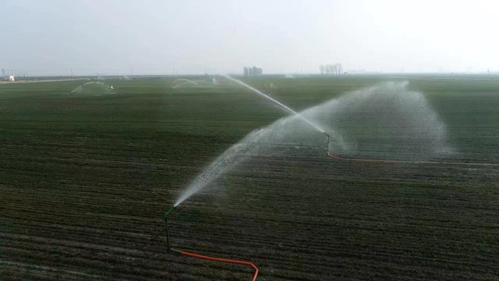 封丘县黄河滩区正在喷灌中的麦田。李学胜摄