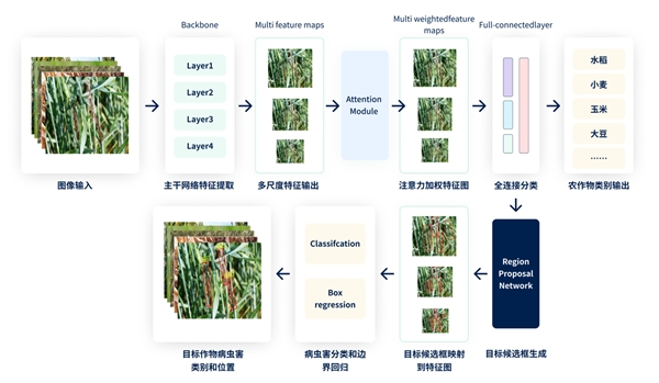 　　智能技术检测农作物病虫害示意图