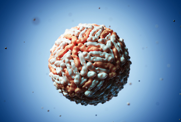 图片来源：视觉中国 VCG41460716647