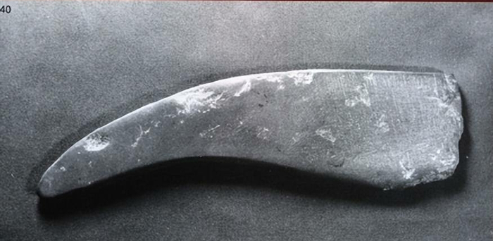 河北藁城台西村遗址出土的砭镰是目前世界上已发现的最早的手术刀（图片来源：新华社资料图）