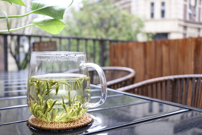 明前头采安吉白茶 图源：图虫创意