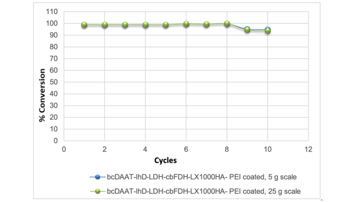 图5. 共固定化酶重复使用稳定性