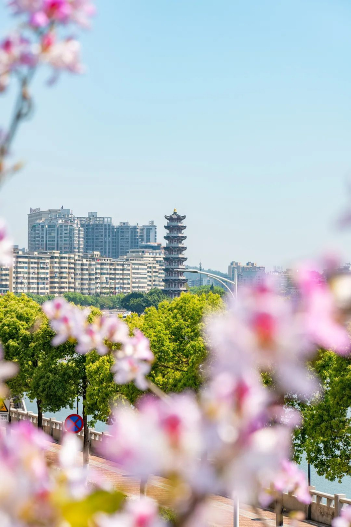 地处三江交汇江心小岛的通天塔，与三江六岸美景相互融合 （图片来源：韶关文化广电旅游体育局）