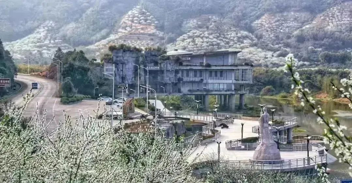 韶关翁源县数百株李树枝头繁花似雪，如诗如画。（图片来源：韶关发布）