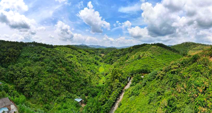 △图源 高要发布