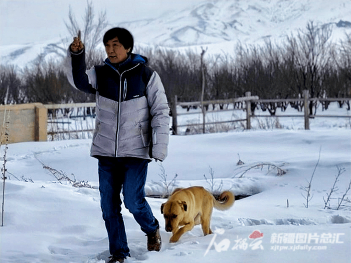 2月18日，赵康林带着名叫巴顿的大黄狗在民居的院子里玩耍。石榴云/新疆日报记者刘一鸣摄