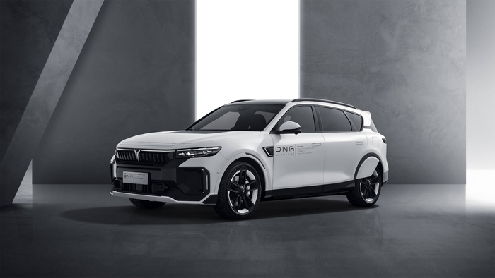 　　岚图FREE DNA定制版