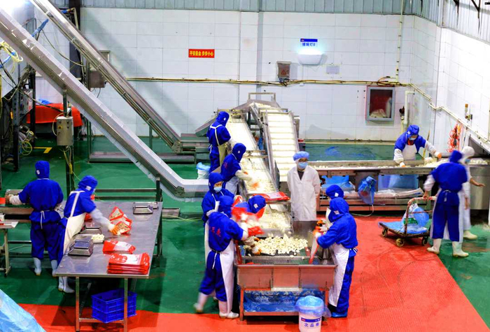 今三麦食品生产车间一隅。  田春雨摄